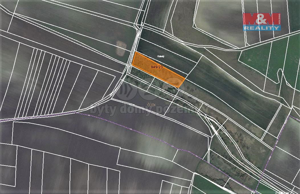 Prodej lesa, 1499 m², Koštice