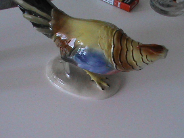 porcelanova soska znacena
