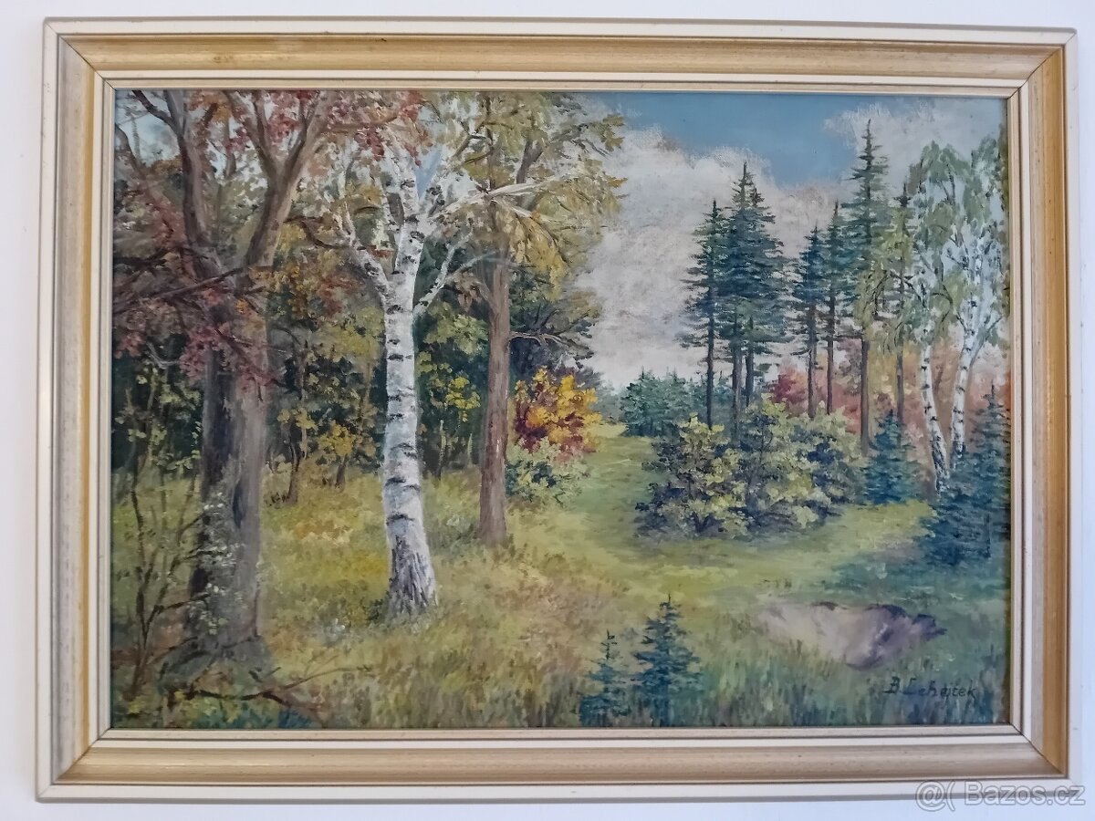 Obraz Bohumil Lehejček 6571