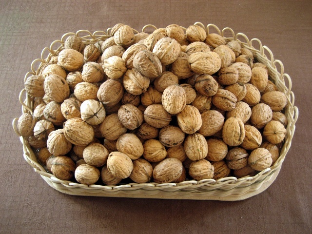 Vlašské ořechy letošní - 3kg