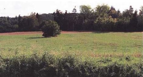 Orná půda 18.296 m2, kat. území Sedlec u Kutné Hory, obec Ku