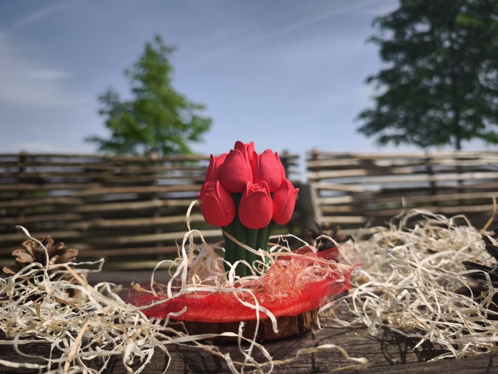 Dárkový balíček tulipány červené. Pro paní učitelky, maminky