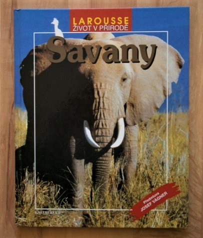 SAVANY
