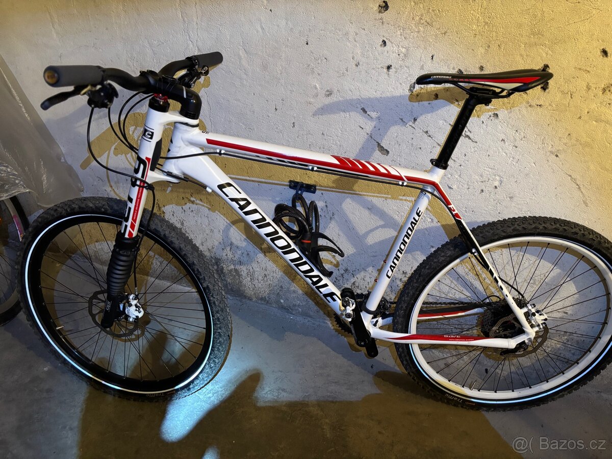 CANNONDALE LEFTY flash