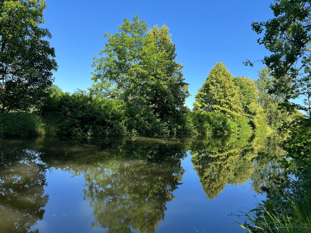 Prodej louky u řeky Metuje 3 641 m², ideální pro rybáře
