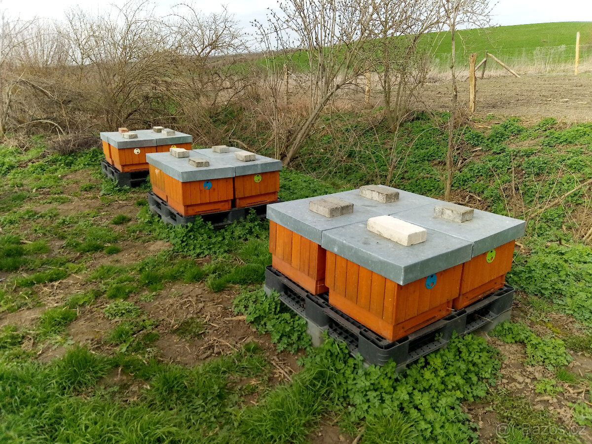 Vyzimovaná včelstva/oddělky