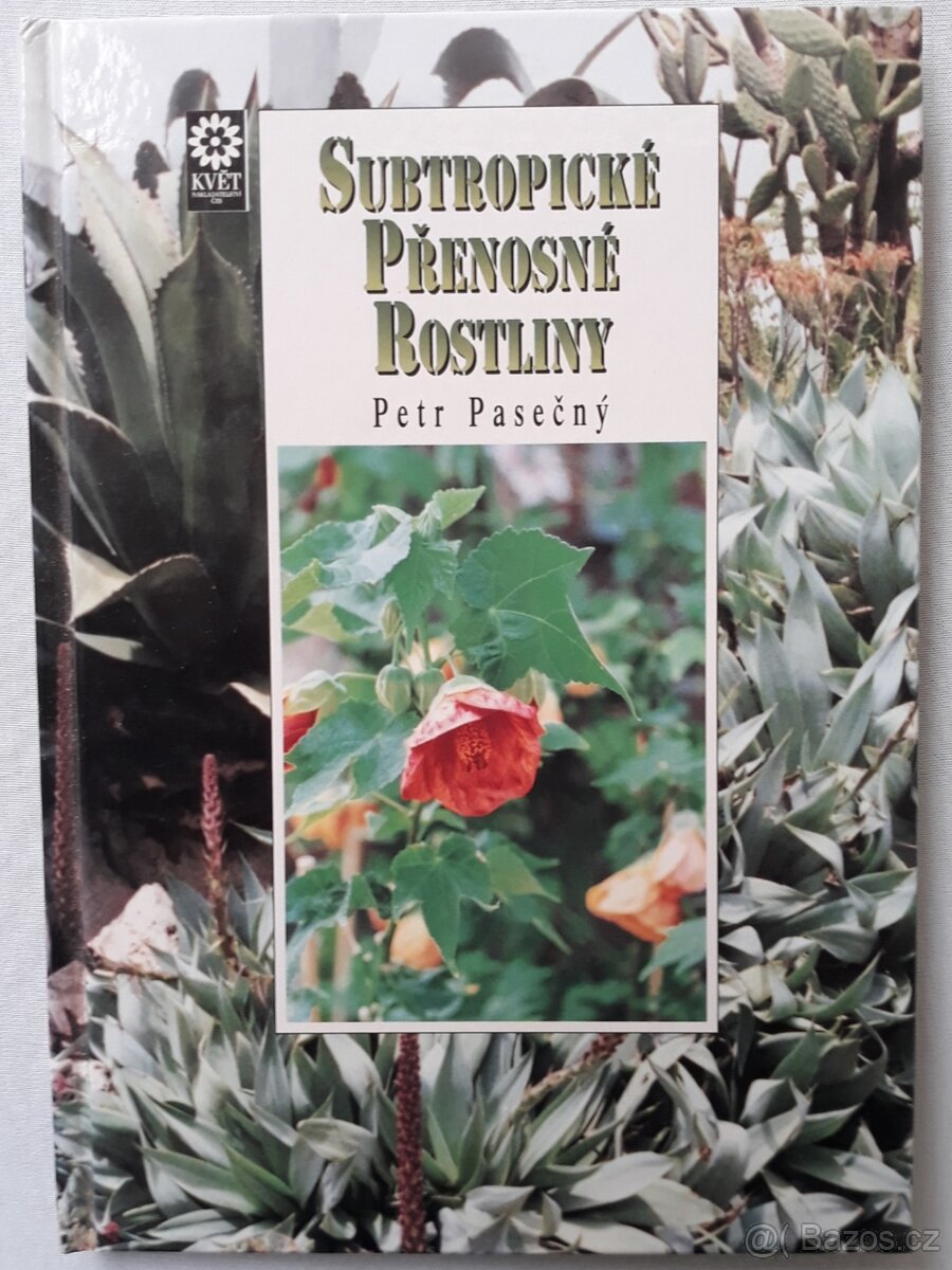 Subtropické přenosné rostliny