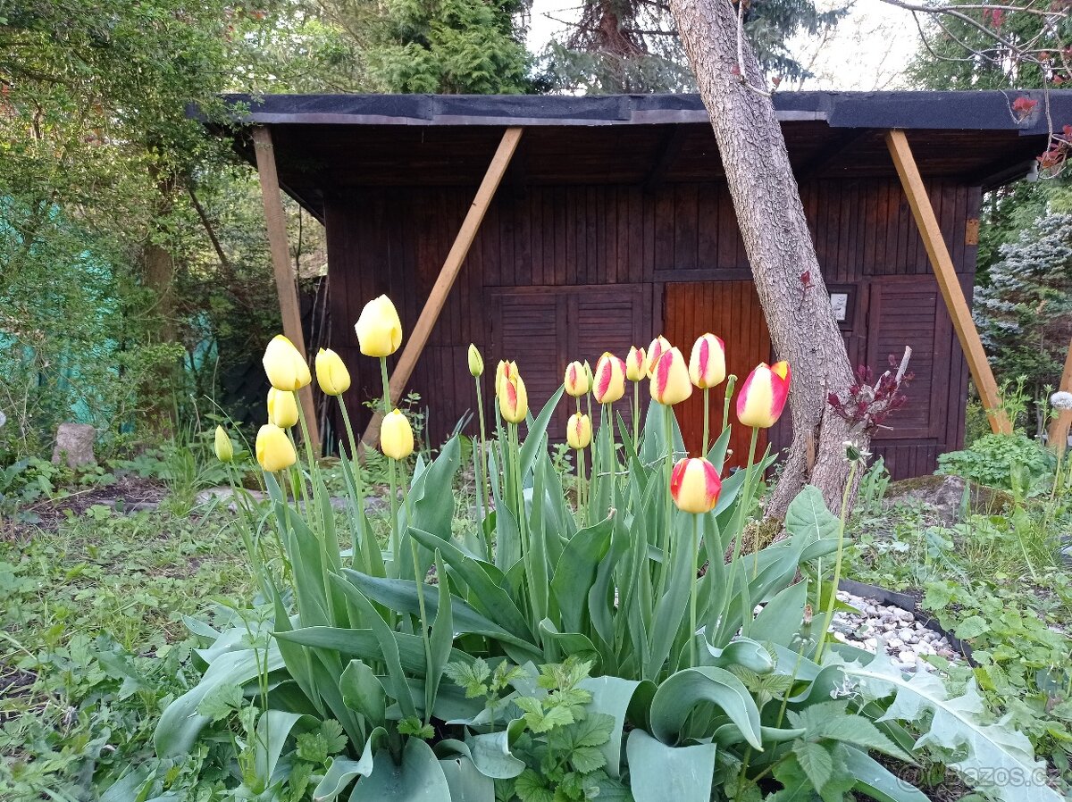 Hezká záhrada s chatkou Chrochvice Děčín