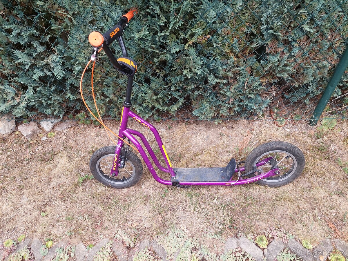 Capypso Galaxy 12''