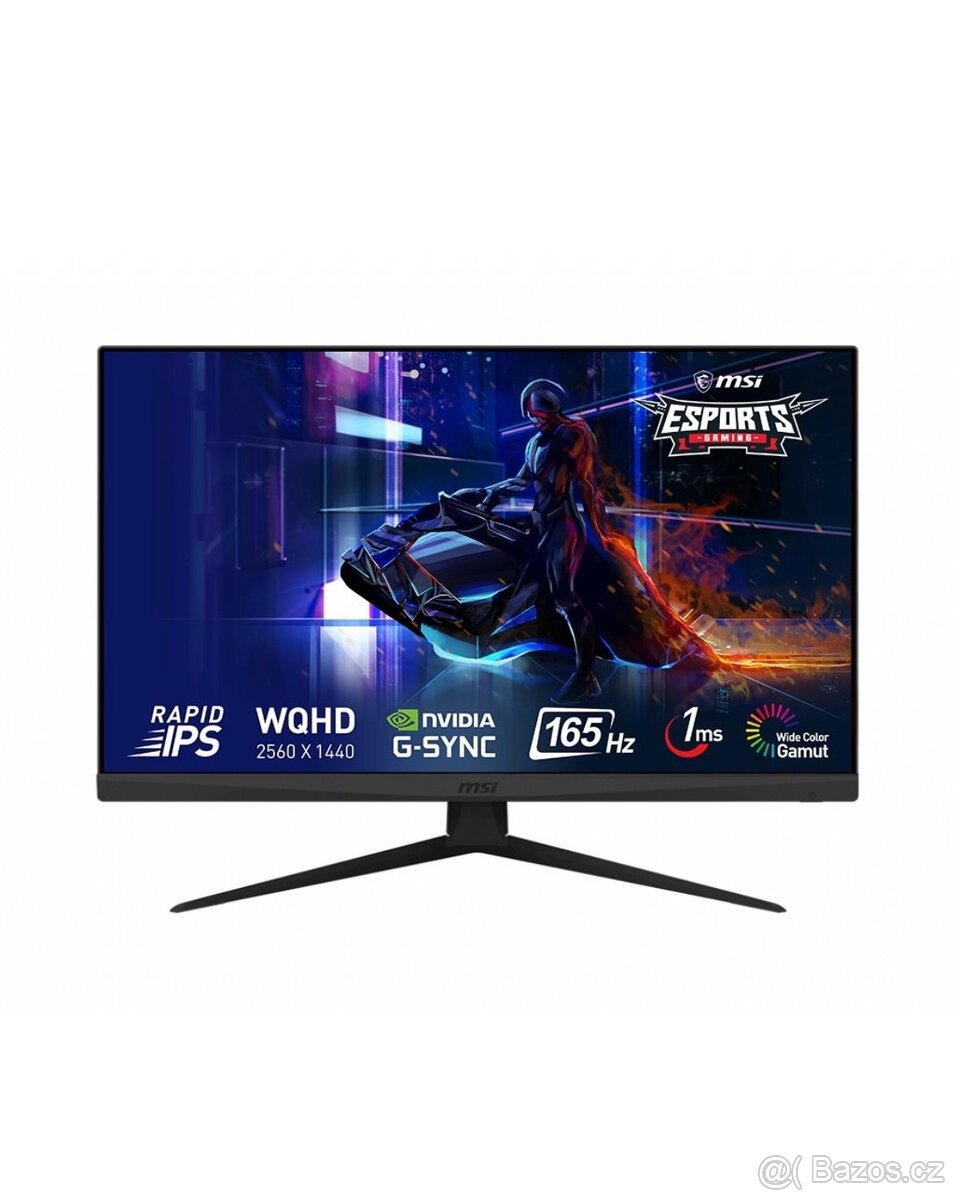 2x Monitor