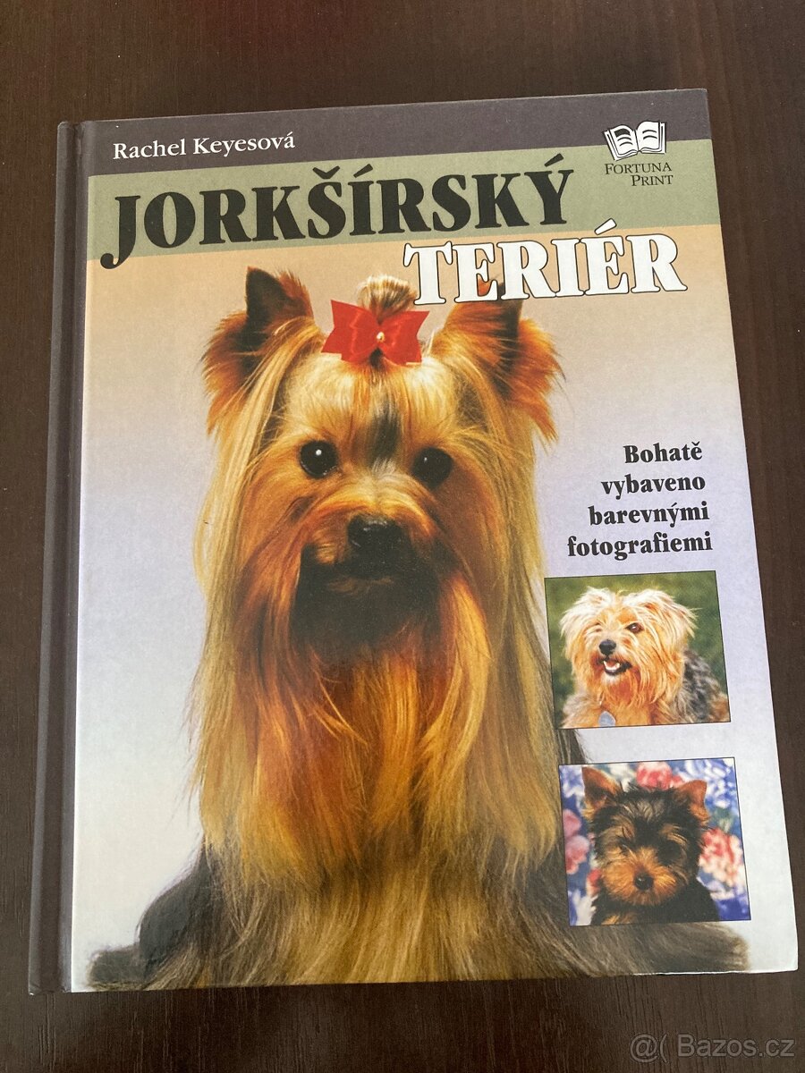 Jorkšírský teriér