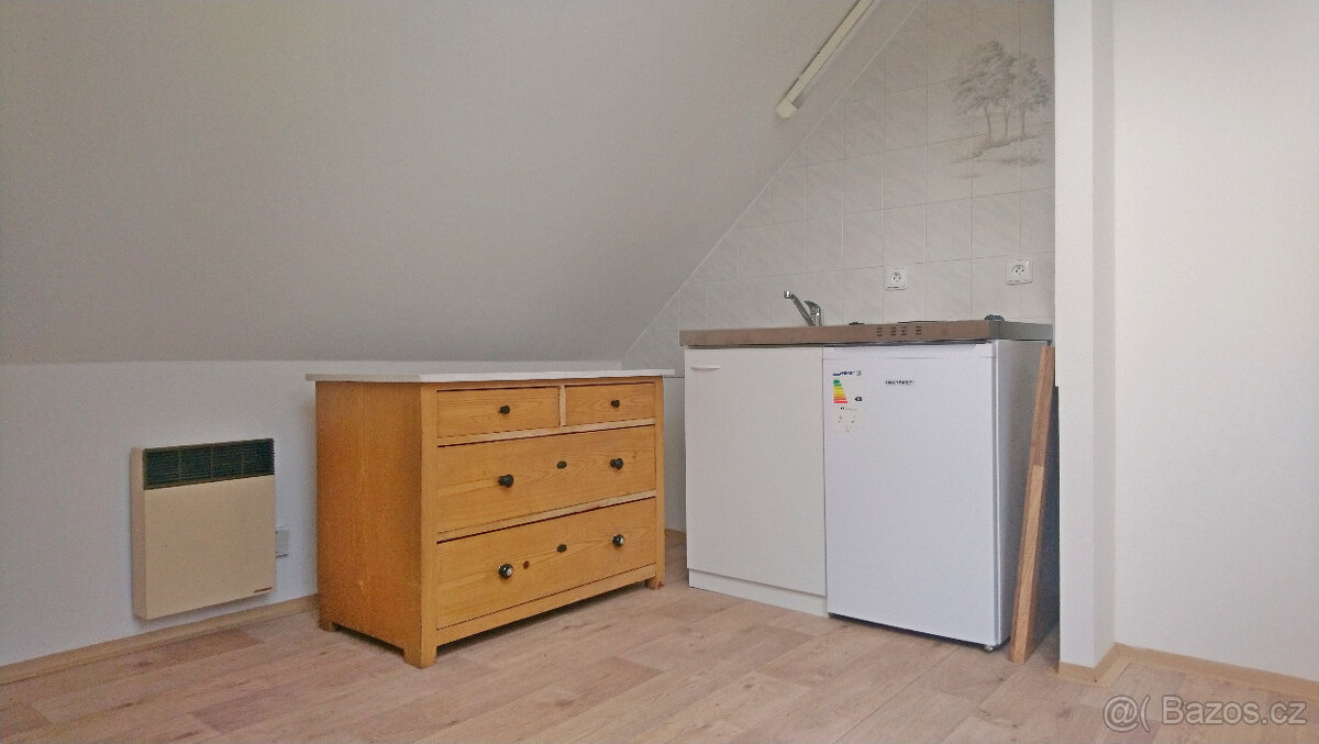 Pronájem 1+kk, 45m2 (balk+park) (Janův Důl, ul. U Plovárny)