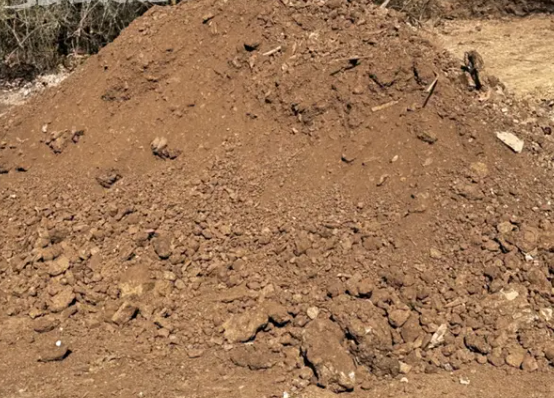 Zemina - - zdarma Brno