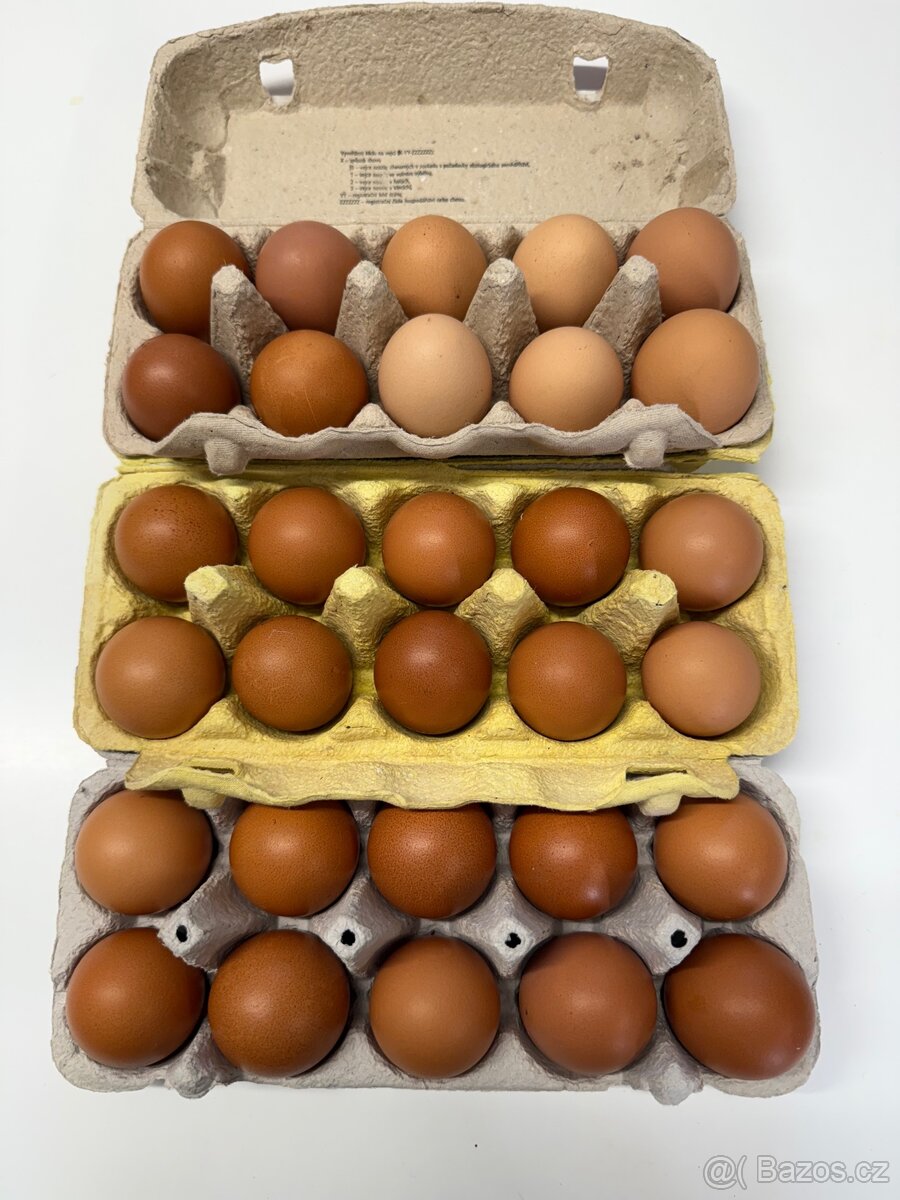 Domácí vajíčka
