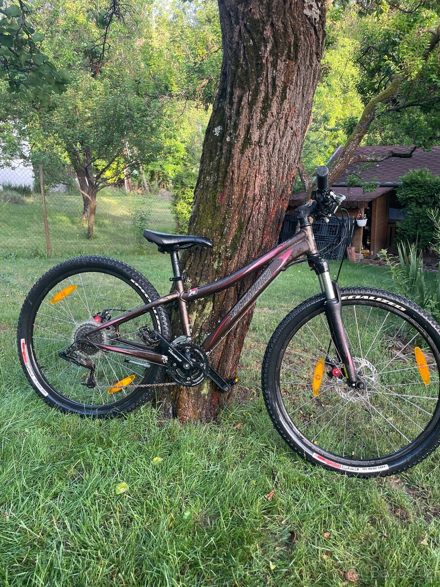 Specialized