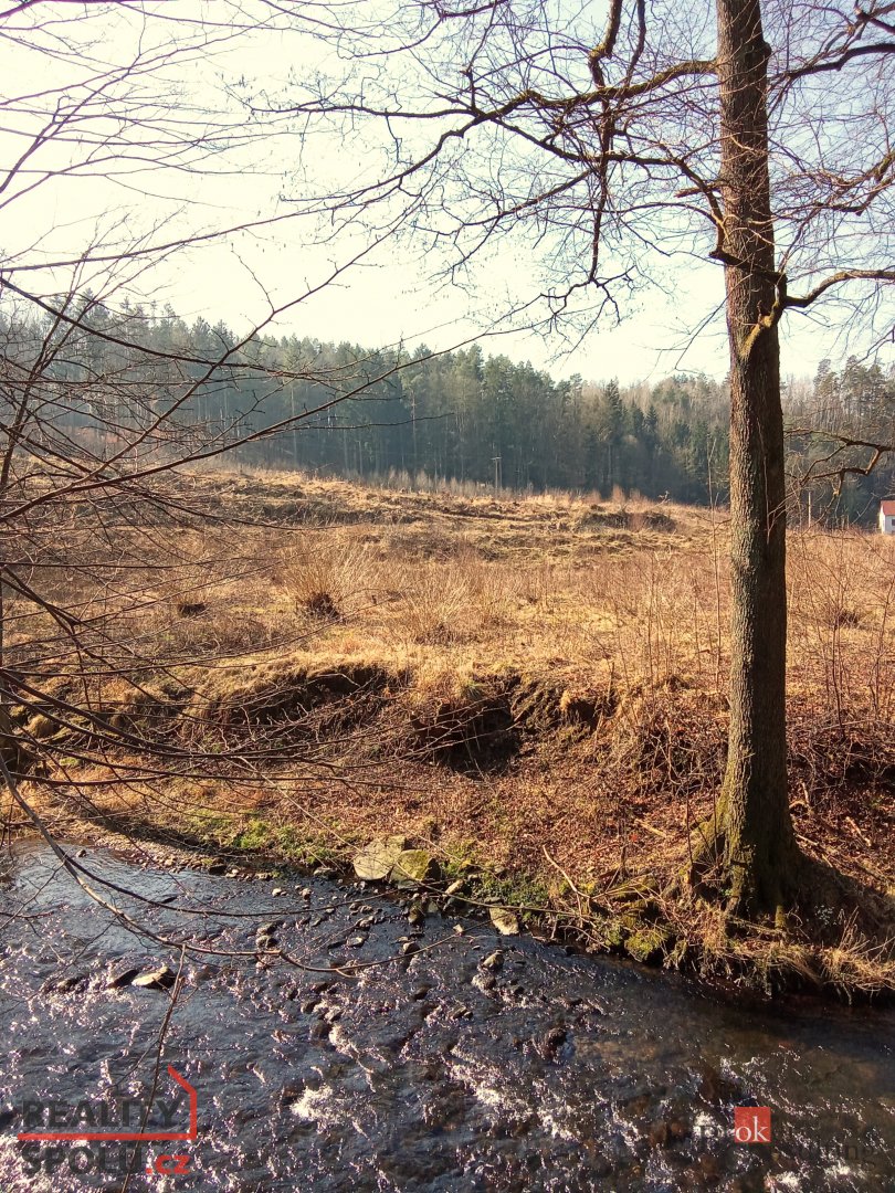 Prodej, pozemky/bydlení, 22894 m2, 40502 Janská, Děčín [ID 6