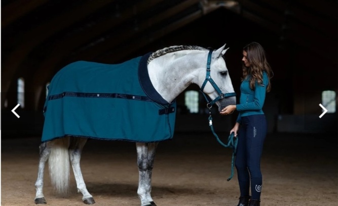 Equestrian stockholm