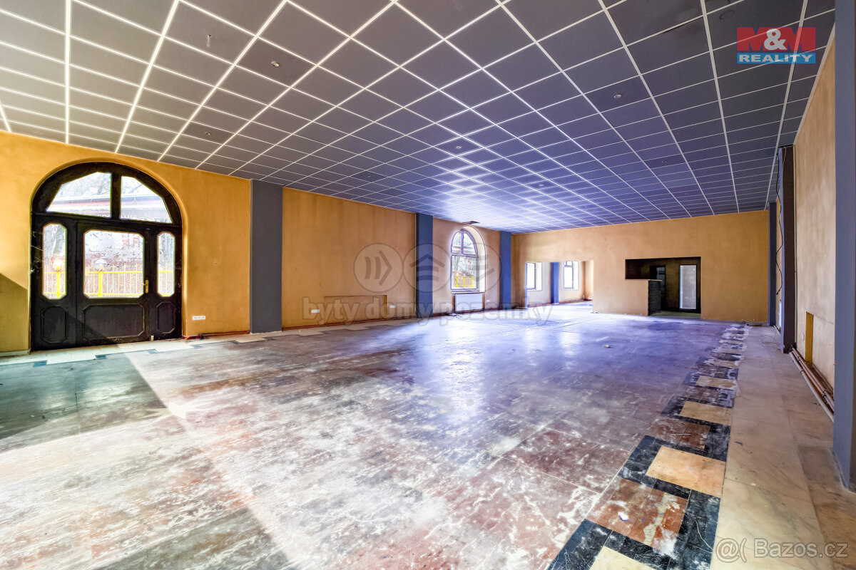 Pronájem obchod a služby, 470 m², Plzeň, ul. Francouzská