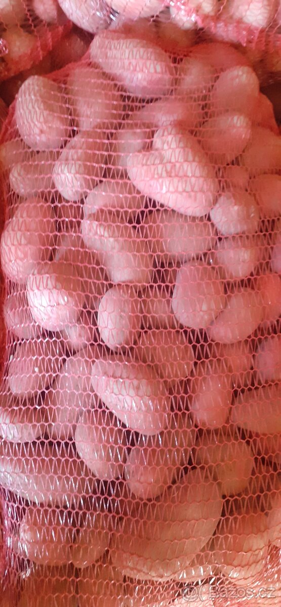 Brambory na,uskladnění