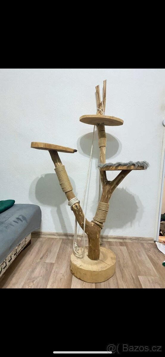Kočičí strom