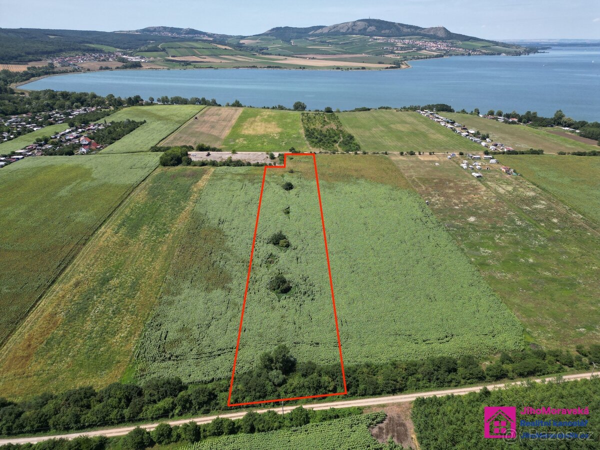Prodej zemědělská půda, 17 804 m² - Přítluky - Nové Mlýny