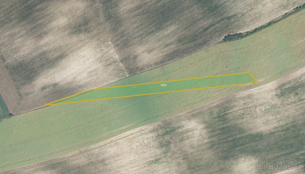 Zemědělská půda, prodej, Nenkovice, Hodonín