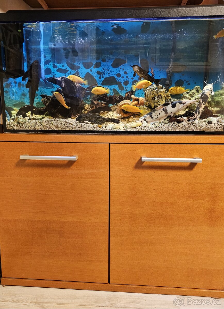 Akvárium 200l se vším příslušenstvím.