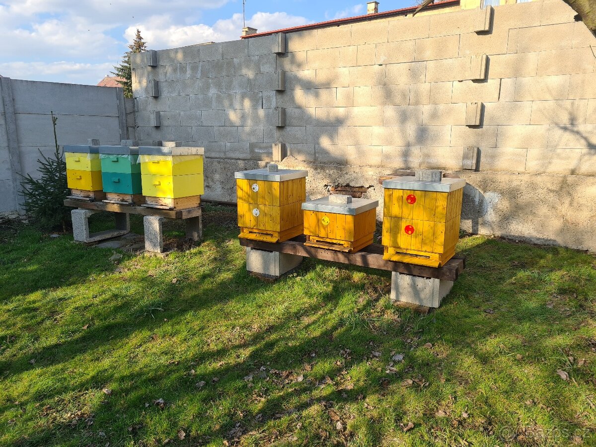 Včelí oddělky a včelstva 39x24