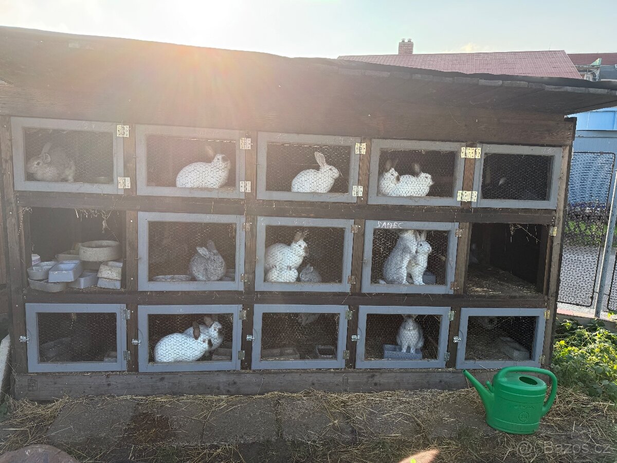 Králíkárna 15 kotců