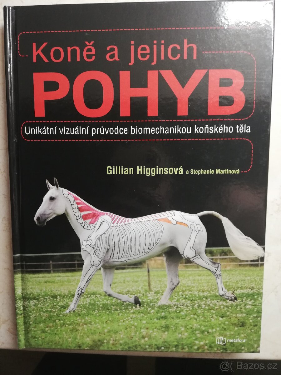 Koně a jejich pohyb
