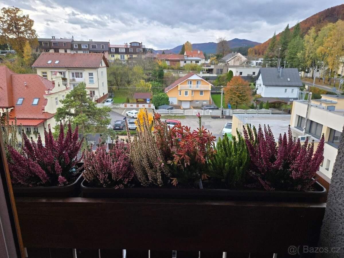 Pronájem bytu Rajecké Teplice