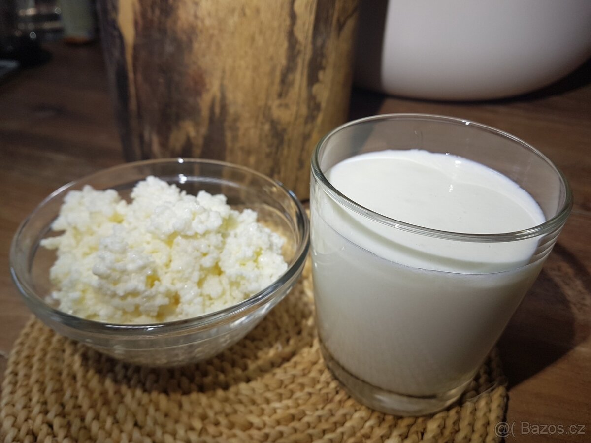 TIBETSKÁ HOUBA - DARUJI