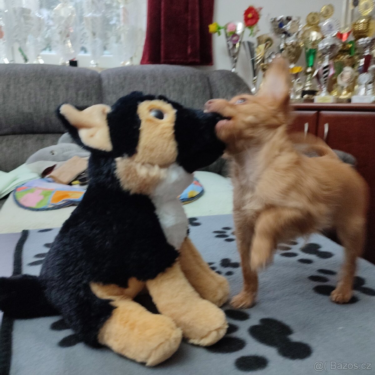 Ruský toy s PP FCI