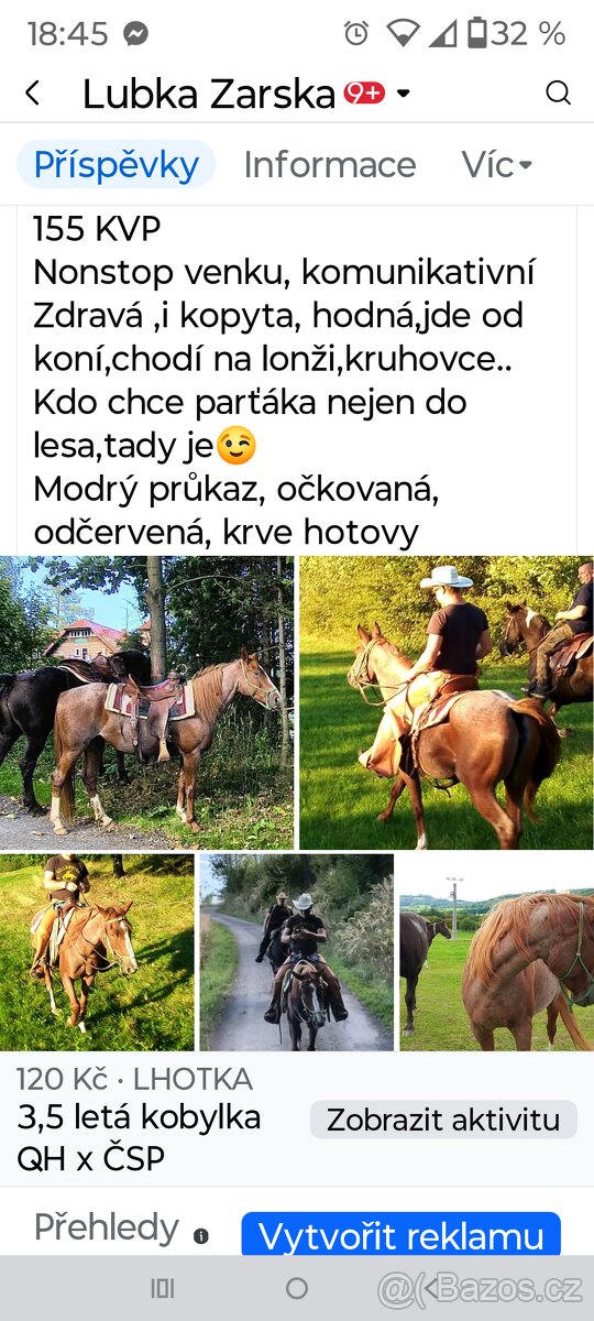 3l kobylka mix Qh x ČSP