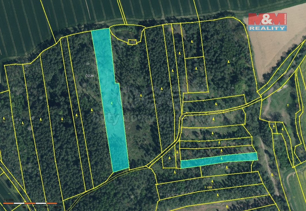 Prodej lesa, 10323 m², Hlohovčice
