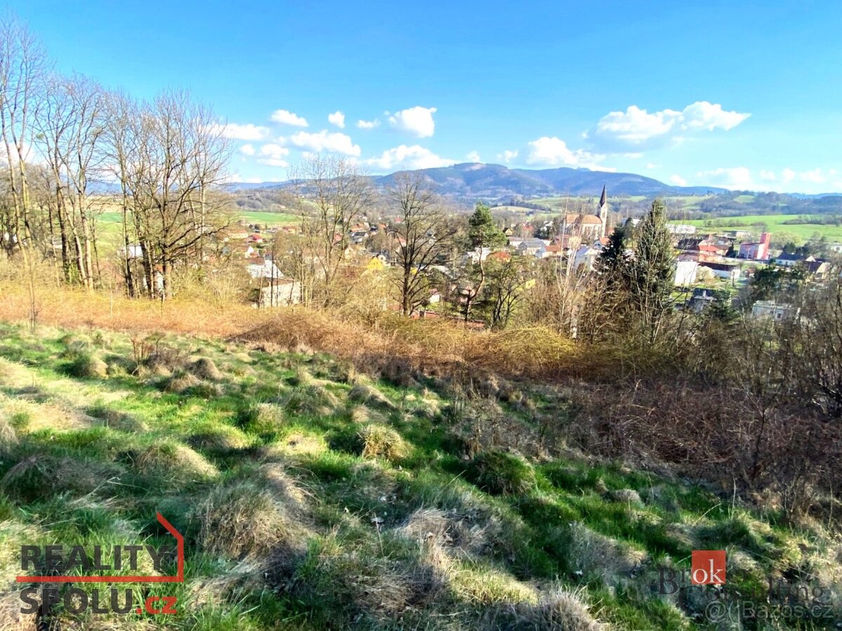 Prodej, pozemky/bydlení, 9446 m2, Janovice, Frýdek-Místek [I