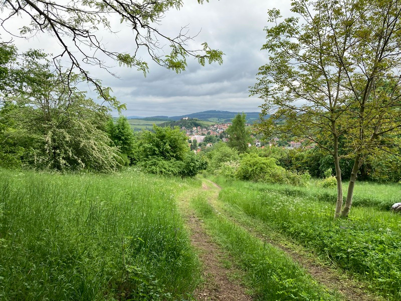 Šumava - Sušice pro výstavbu 2 chat pozemek na prodej