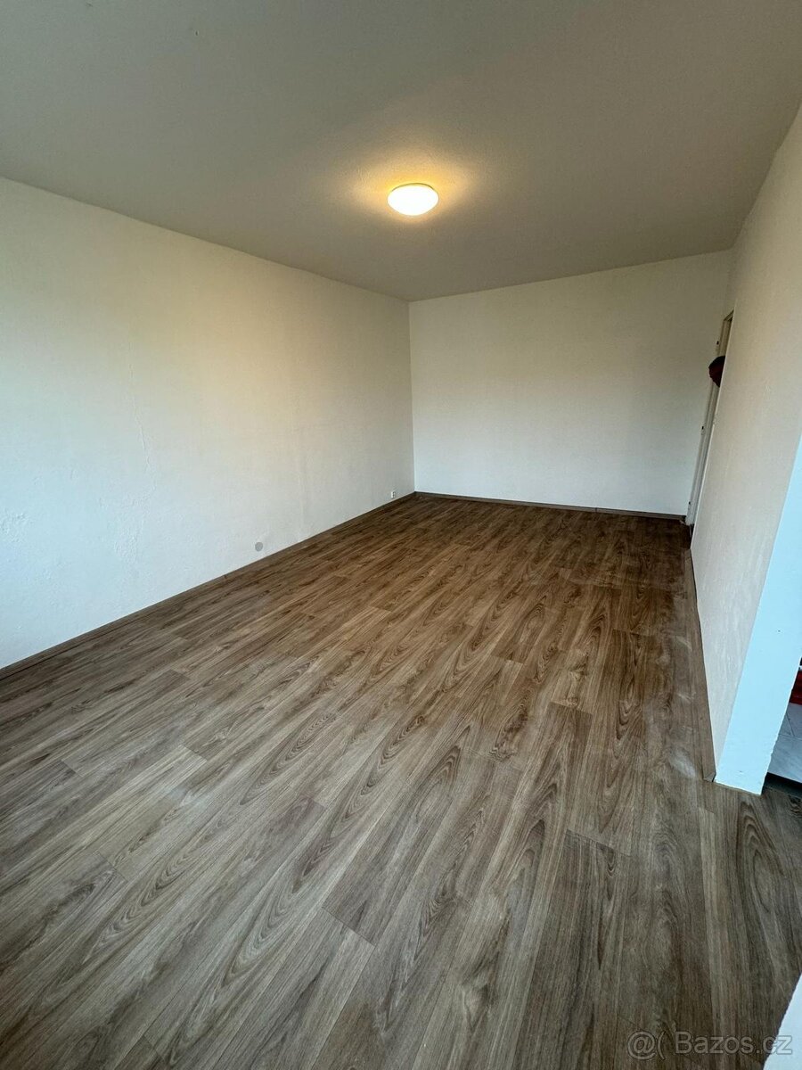 Prodej bytu v OV, 2+1 s balkonem, Mojžíř