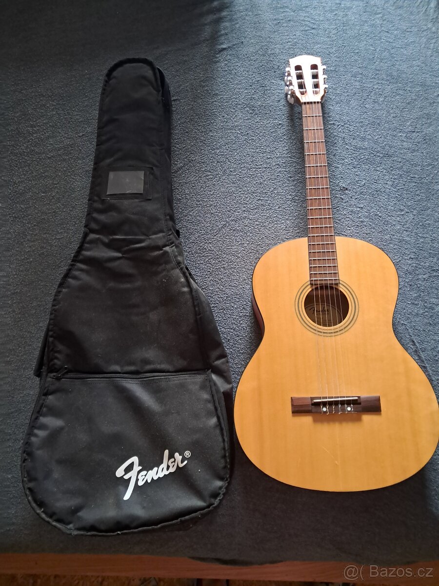 Akustická kytara Fender ESC105