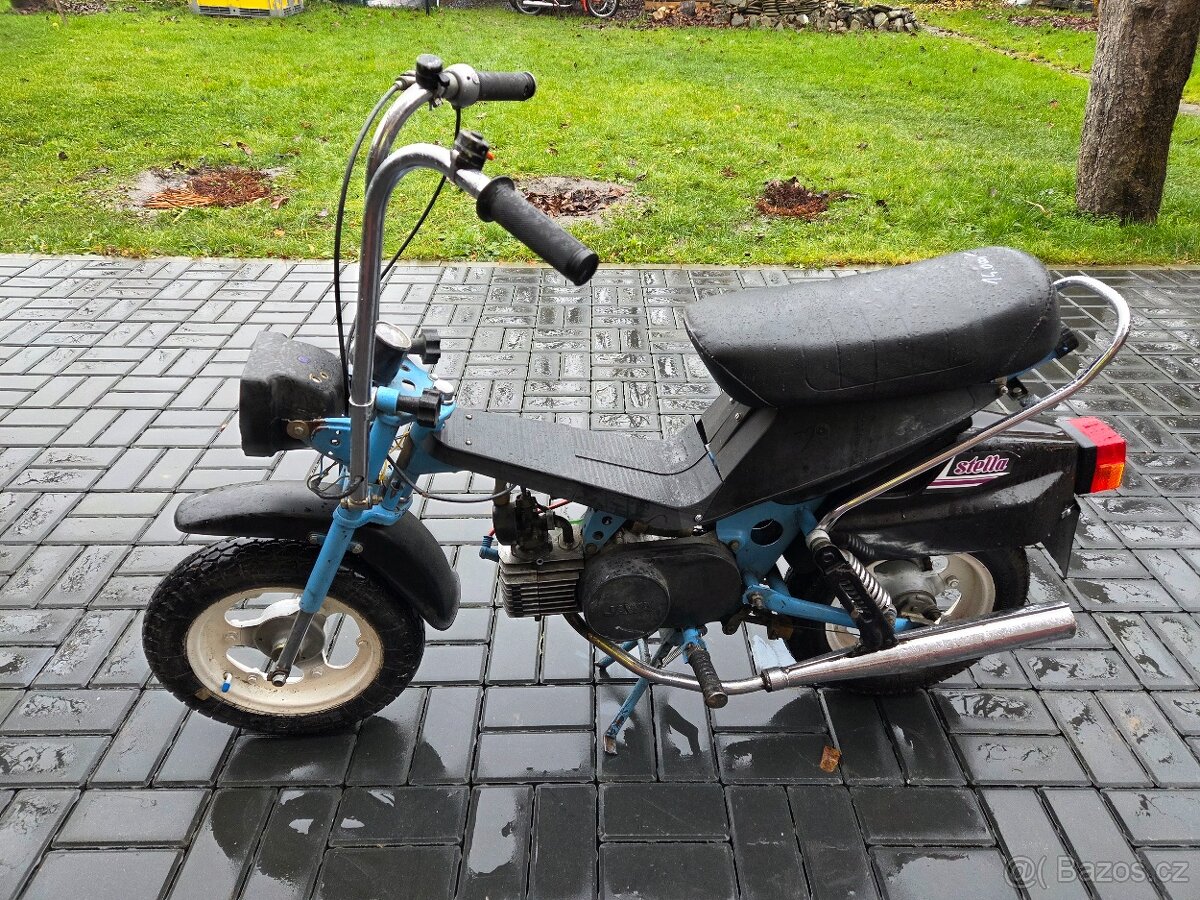 MOKIK Babetta - STELLA vzácná