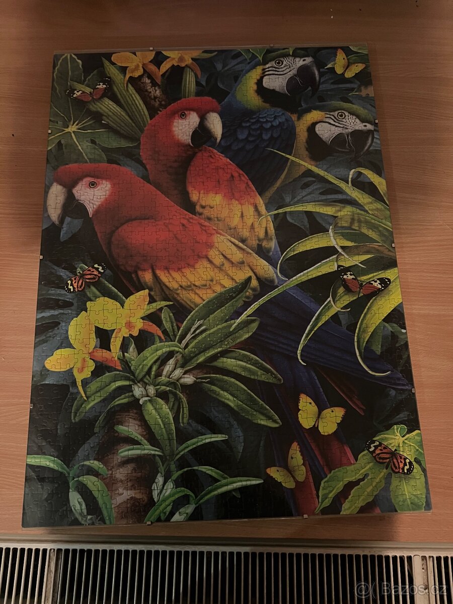 Puzzle 1000 papoušci