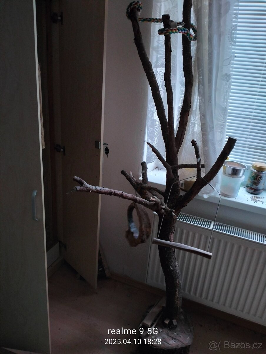 Strom pro papoušky
