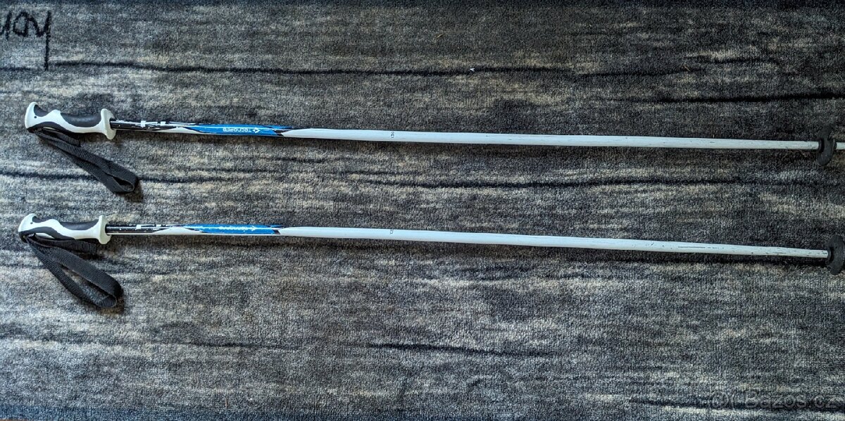 lyžařské hůlky