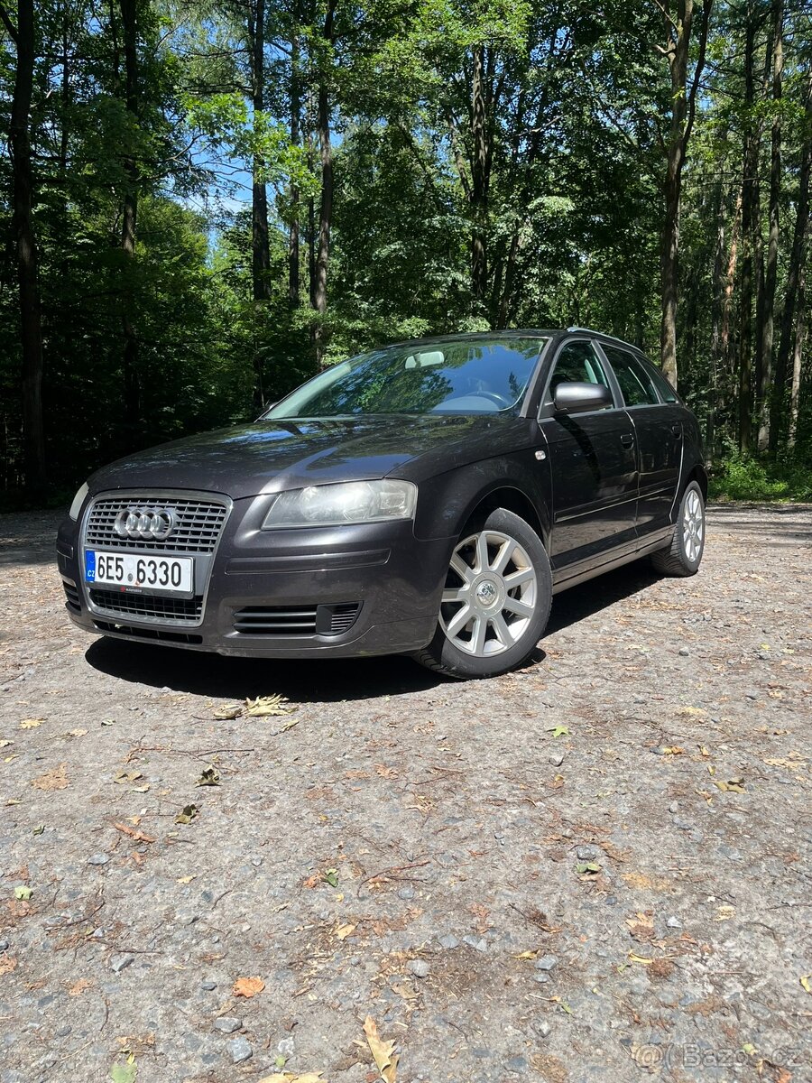 Audi A3 8PA