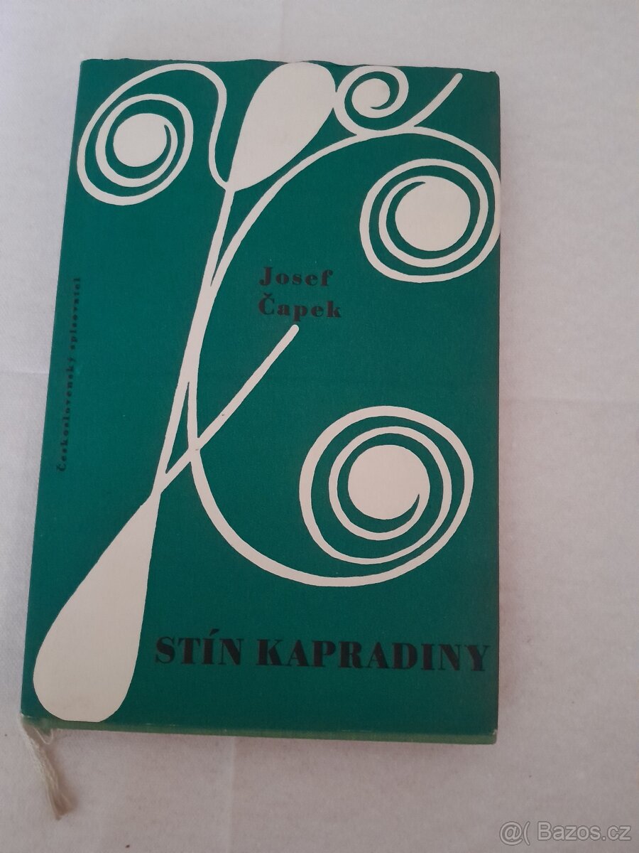 Stín Kapradiny