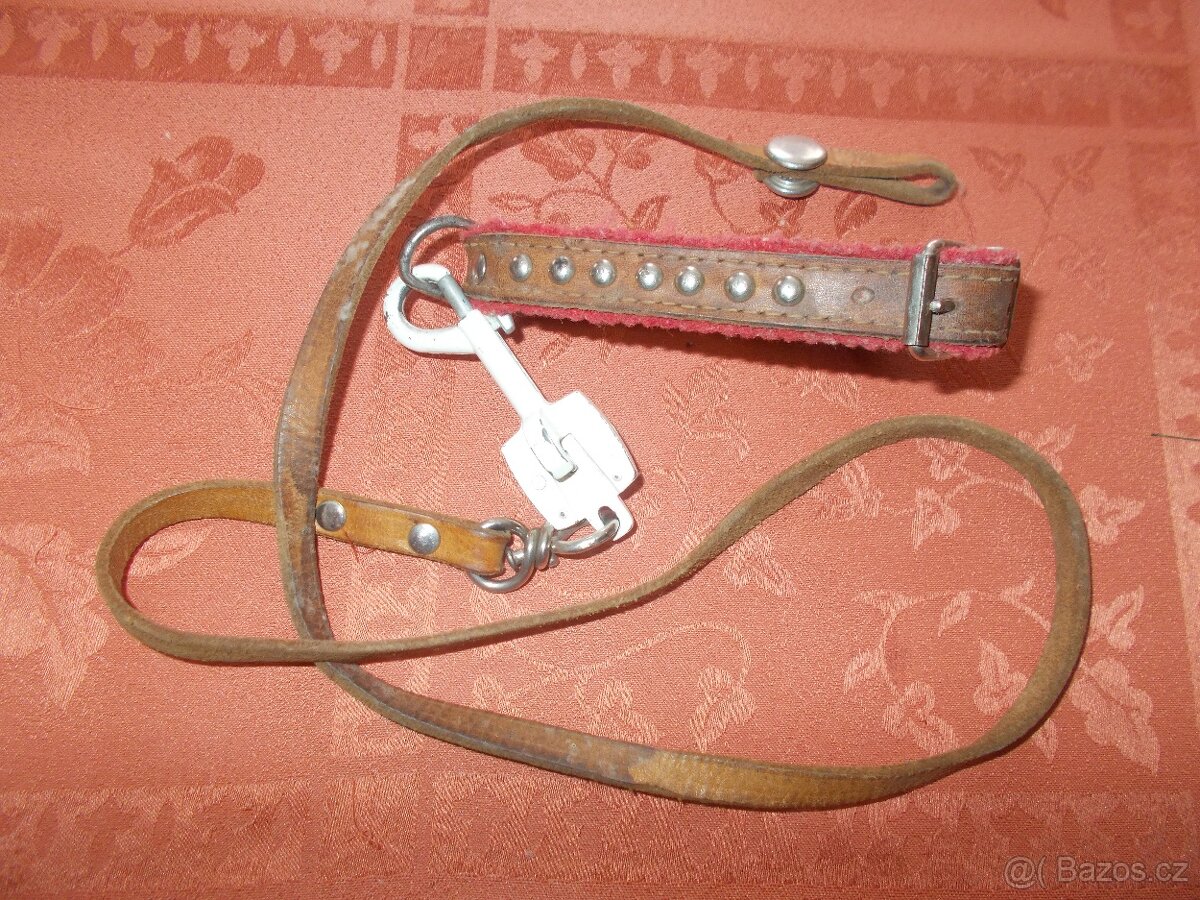 Vodítko a obojek