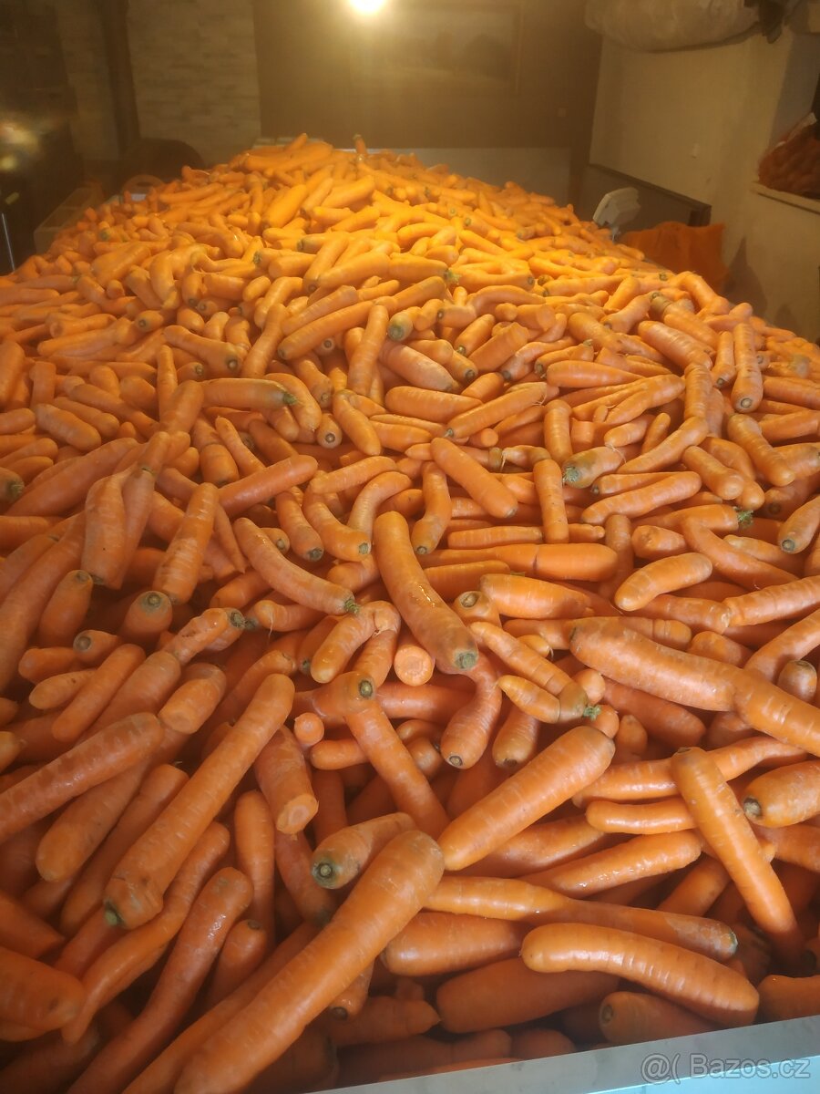 Krmná mrkev, Sušené řepné řízky