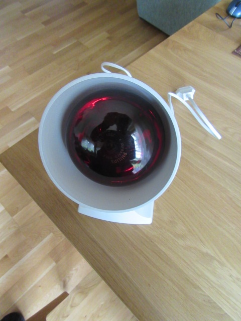 Infračervená lampa
