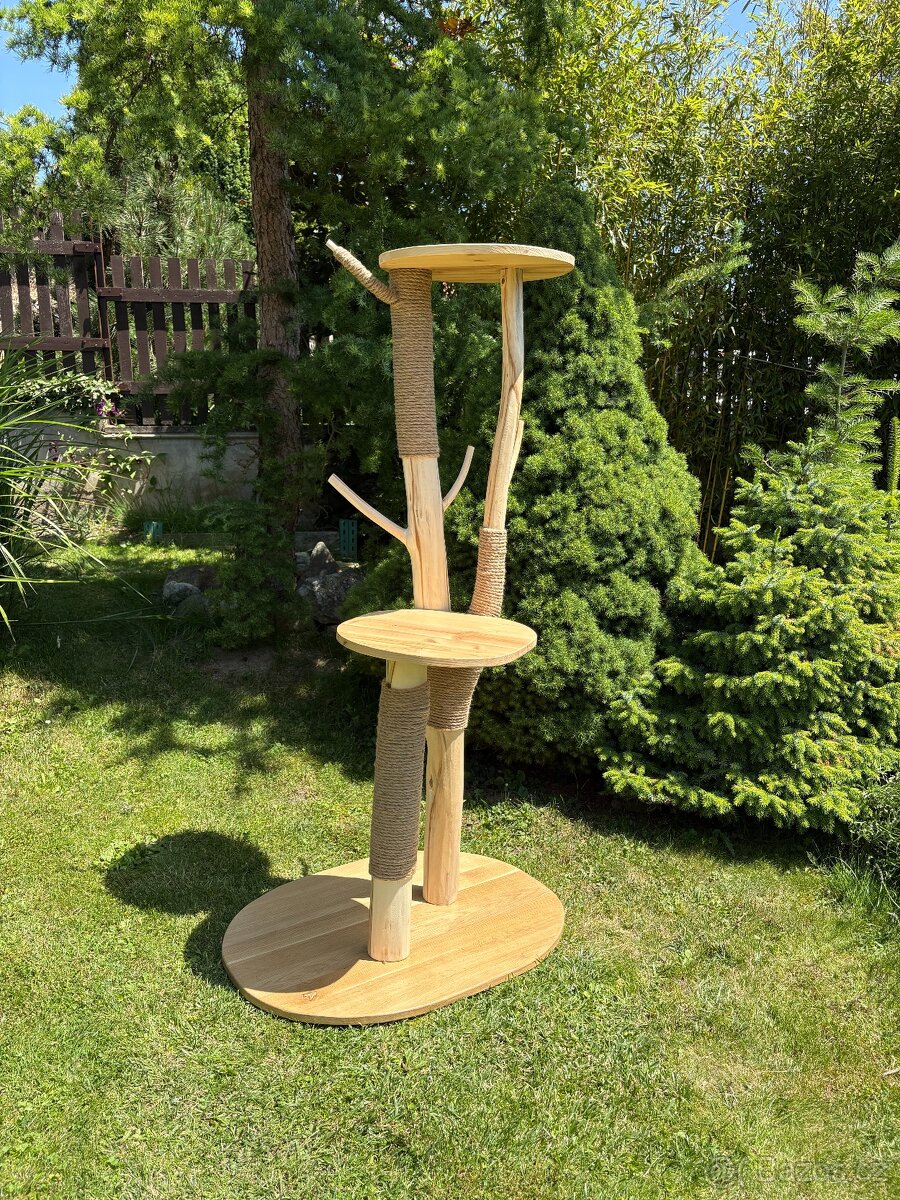 Kočičí strom