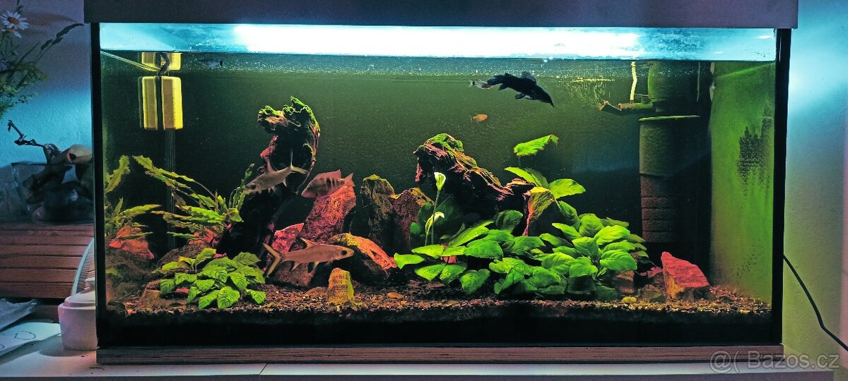 Akvarium 200l